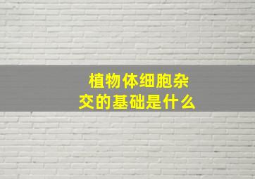 植物体细胞杂交的基础是什么