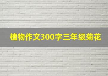 植物作文300字三年级菊花