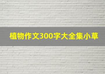 植物作文300字大全集小草