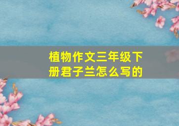 植物作文三年级下册君子兰怎么写的