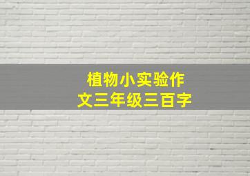 植物小实验作文三年级三百字