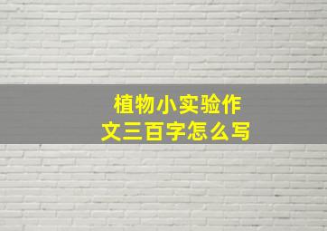 植物小实验作文三百字怎么写