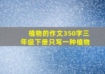 植物的作文350字三年级下册只写一种植物