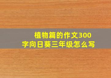 植物篇的作文300字向日葵三年级怎么写