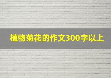 植物菊花的作文300字以上