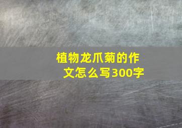 植物龙爪菊的作文怎么写300字