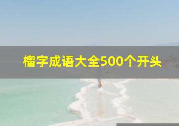 榴字成语大全500个开头