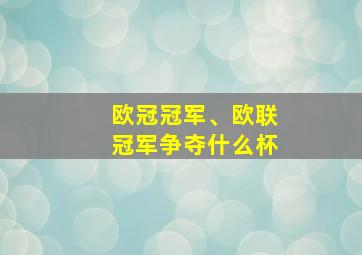 欧冠冠军、欧联冠军争夺什么杯