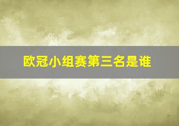 欧冠小组赛第三名是谁