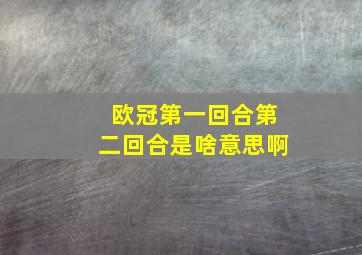 欧冠第一回合第二回合是啥意思啊