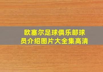 欧塞尔足球俱乐部球员介绍图片大全集高清