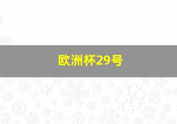 欧洲杯29号