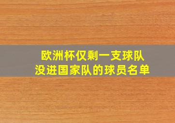 欧洲杯仅剩一支球队没进国家队的球员名单