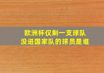 欧洲杯仅剩一支球队没进国家队的球员是谁