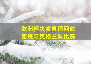 欧洲杯决赛直播回放西班牙英格兰队比赛