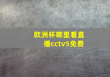 欧洲杯哪里看直播cctv5免费