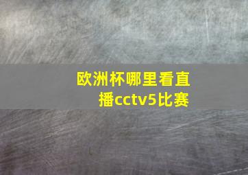 欧洲杯哪里看直播cctv5比赛