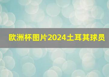 欧洲杯图片2024土耳其球员