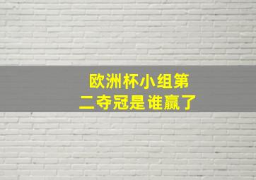 欧洲杯小组第二夺冠是谁赢了