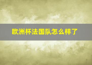 欧洲杯法国队怎么样了