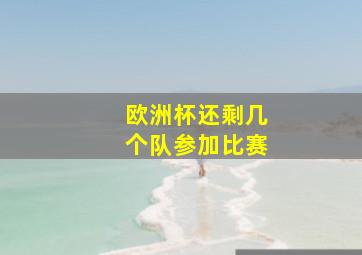 欧洲杯还剩几个队参加比赛