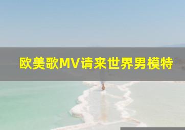 欧美歌MV请来世界男模特