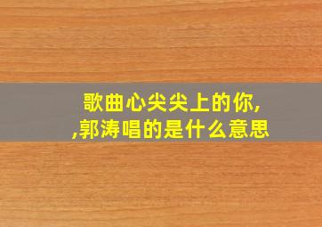 歌曲心尖尖上的你,,郭涛唱的是什么意思