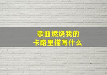 歌曲燃烧我的卡路里描写什么