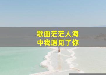 歌曲茫茫人海中我遇见了你