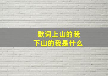 歌词上山的我下山的我是什么