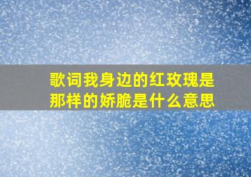 歌词我身边的红玫瑰是那样的娇脆是什么意思