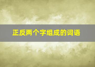 正反两个字组成的词语