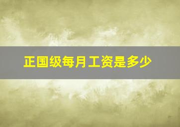 正国级每月工资是多少