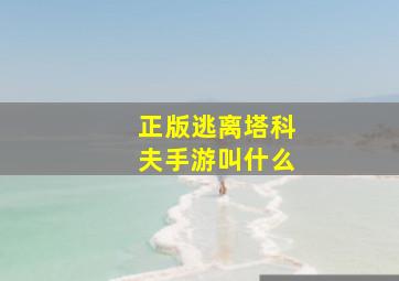 正版逃离塔科夫手游叫什么