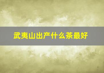 武夷山出产什么茶最好