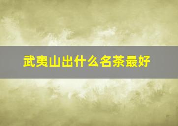 武夷山出什么名茶最好