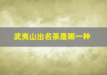 武夷山出名茶是哪一种