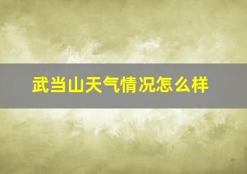 武当山天气情况怎么样