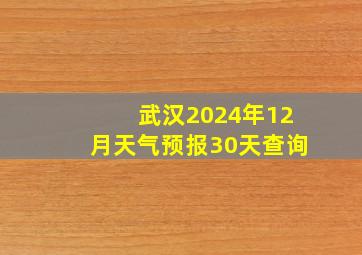 武汉2024年12月天气预报30天查询