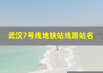 武汉7号线地铁站线路站名