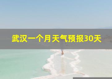 武汉一个月天气预报30天