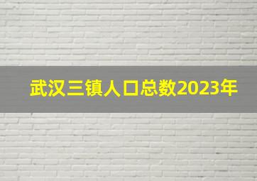 武汉三镇人口总数2023年