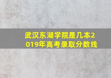 武汉东湖学院是几本2019年高考录取分数线