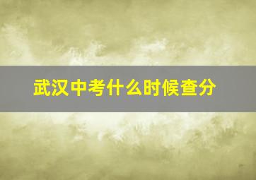 武汉中考什么时候查分