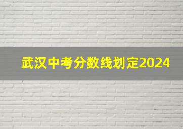 武汉中考分数线划定2024