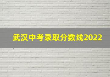 武汉中考录取分数线2022