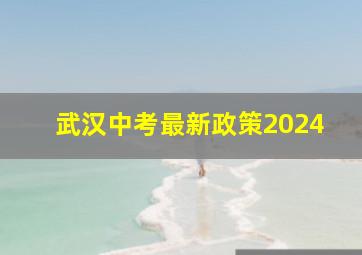 武汉中考最新政策2024