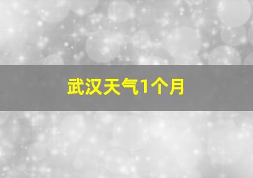 武汉天气1个月