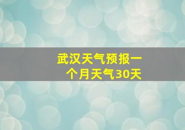 武汉天气预报一个月天气30天