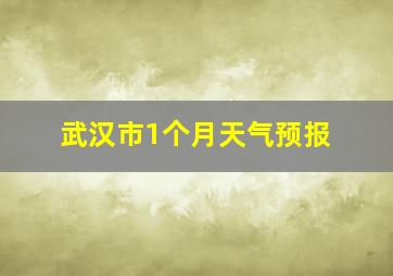 武汉市1个月天气预报